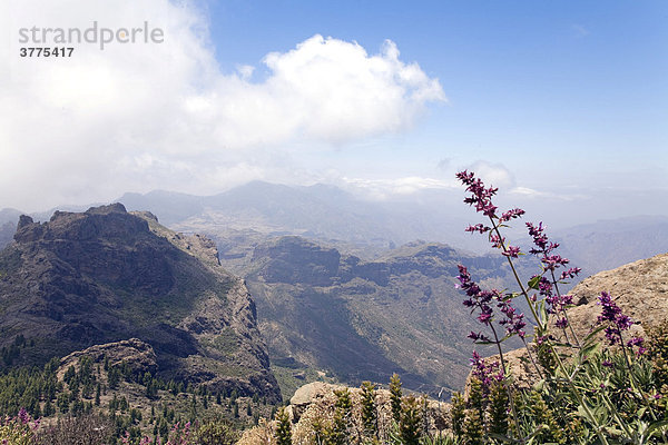 Aussicht in den Bergen von Gran Canaria  bei Roque Nublo  Kanarische Inseln  Spanien