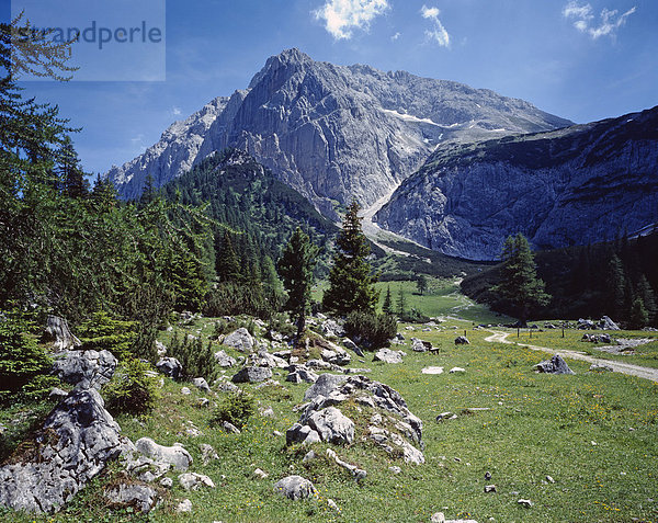 Blick auf die Speckkarspitze im Karwendel  Karwendelgebirge  Österreich