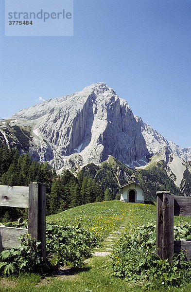 Blick von der Hallerangeralm auf den Kleinen Lafatscher  Karwendel  Tirol  Österreich