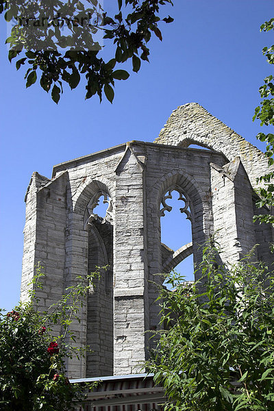 Ruine der Kirche St. Katharina  Visby  Gotland  Schweden