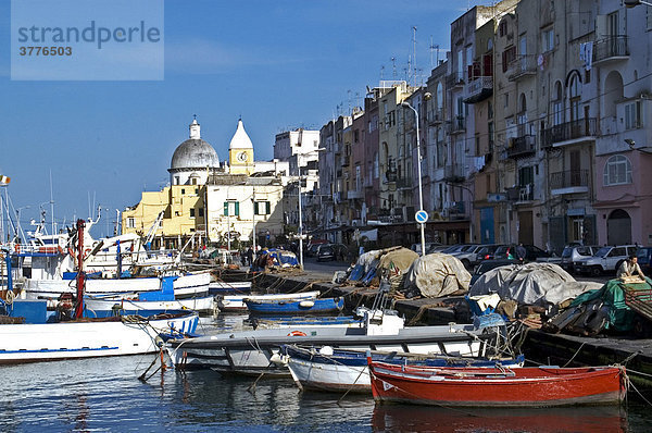 Ischia Island  region Campania  Province Naples  Italy