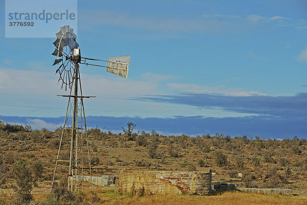 Windrad an der Route 62 zwischen Paarl und Port Elizabeth  Province Westkap  Südafrika