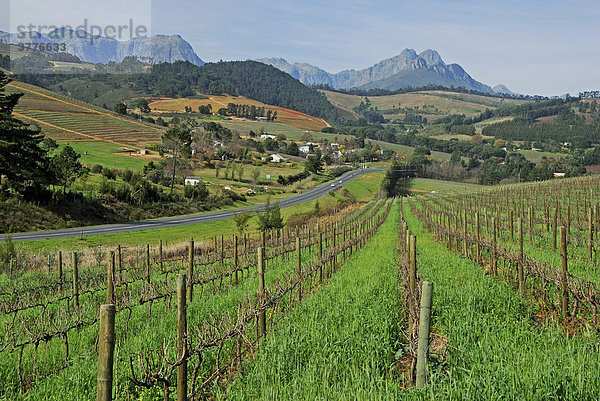 Somerset West  dahinter die Helderberge  Weinbaugebiet  Provinz West-Kap  Südafrika