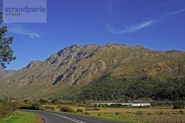 Somerset West  dahinter die Helderberge  Weinbaugebiet  Provinz West-Kap  Südafrika