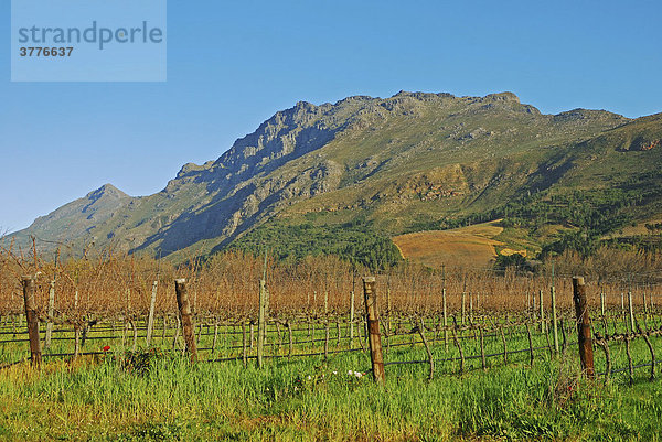 Somerset West  dahinter die Helderberge  Weinbaugebiet  Provinz West-Kap  Südafrika