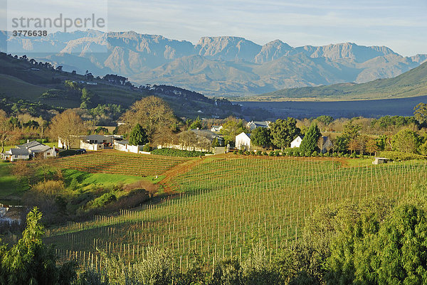 Somerset West  dahinter die Helderberge  Weinbaugebiet  Provinz West-Kap  Südafrika