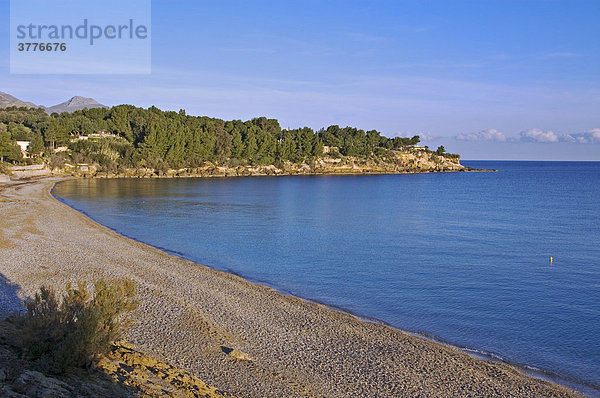 Coast landscape Zingara National Park  Zingara  Sicily  Italy