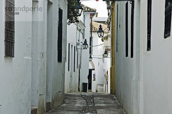 Alleyway in Cordoba  Andalusia  Cordoba  Spain  Europe