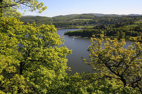 Edersee  Nationalpark und Naturpark Kellerwald-Edersee  Hessen  Deutschland