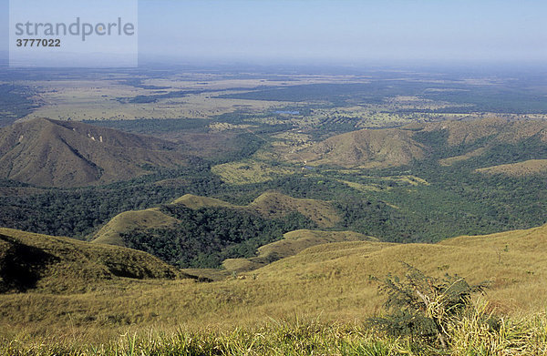 Blick über das Pantanal  Mato Grosso  Brasilien  Südamerika