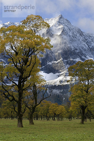 Herbst am Ahornboden mit Spritzkarspitze  Eng  Österreich