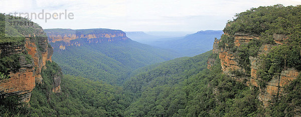 Panoramaaufnahme der Blue Mountains  South Wales  Australien