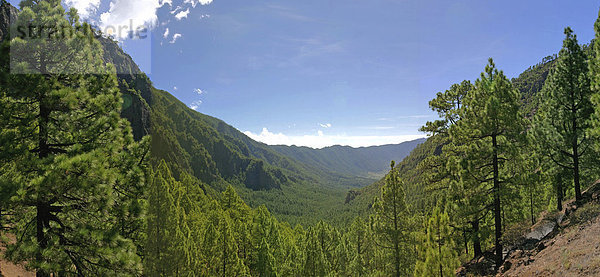 Panoramaaufnahmen Caldera Nationalpark La Palma  Kanarische Inseln  Spanien