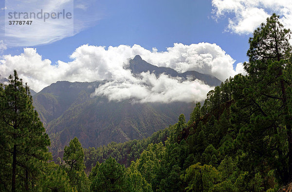 Caldera de Taburiente Nationalpark  La Palma  Kanaren  Spanien Caldera de Taburiente Nationalpark