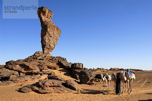 Mann mit Kamelen aufrecht stehender hoher Felsen Adad in der Wüste Akakus Libyen