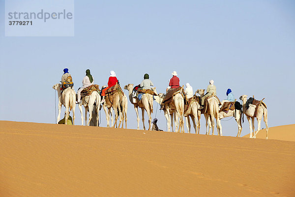 Kameltrekking auf Sanddüne in der Wüste Mandara Libyen