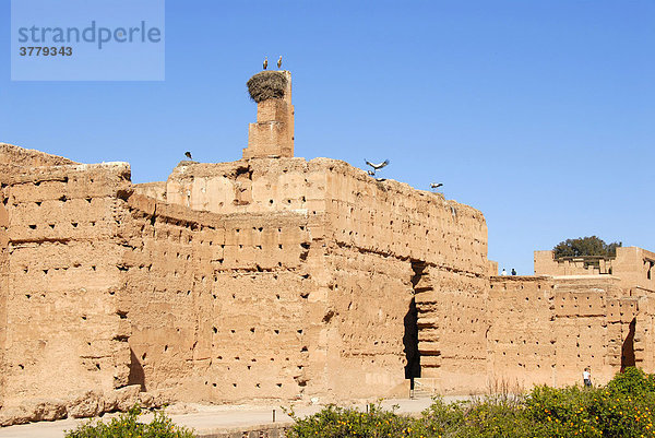 Alte Mauern aus Lehm Weißstörche Ciconia ciconia Palais el Badi Marrakech Marokko