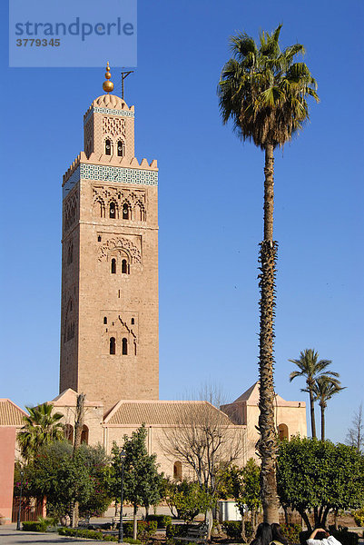 Altes Minarett und Palme Koutoubia Moschee Marrakech Marokko