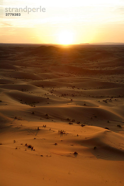 Sonnenuntergang über endlose erleuchtete Sanddünen bei Mhamid Marokko