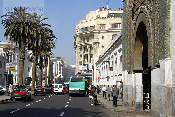 Palmenallee in der Altstadt am Zentralmarkt Casablanca Marokko