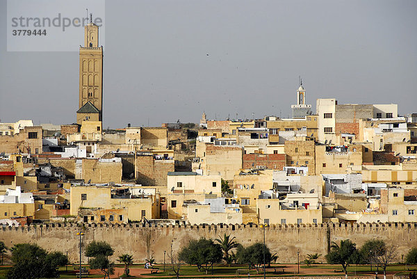 Blick auf die Altstadt mit Minarett und Stadtmauer Meknes Marokko