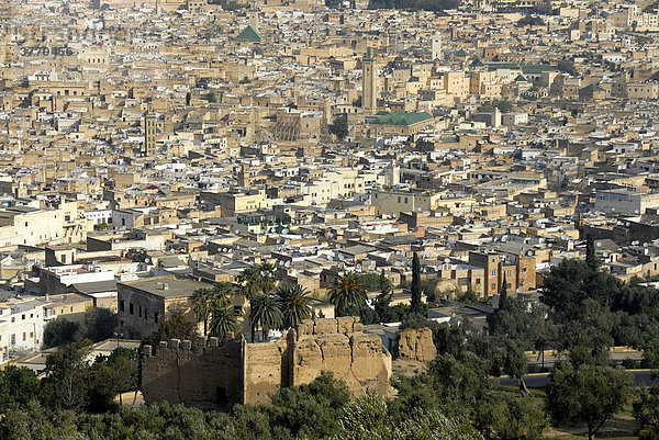 Blick auf das Häusermeer der Altstadt Fes Marokko