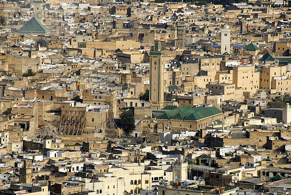 Blick auf das Häusermeer der Altstadt mit Kairaouine Moschee und Minarett Fes Marokko