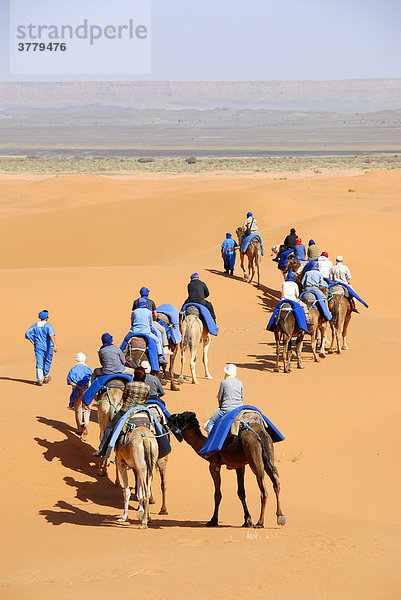 Gruppe von Touristen reitet auf Kamelen durch Sand Erg Chebbi Merzouga Marokko