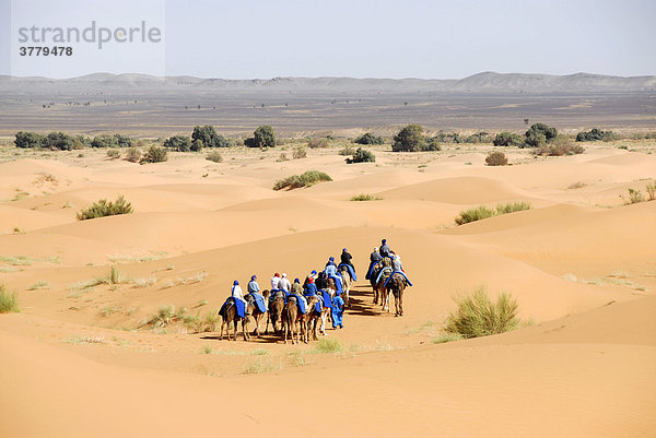 Gruppe von Touristen reitet auf Kamelen durch Sanddünen Erg Chebbi Merzouga Marokko