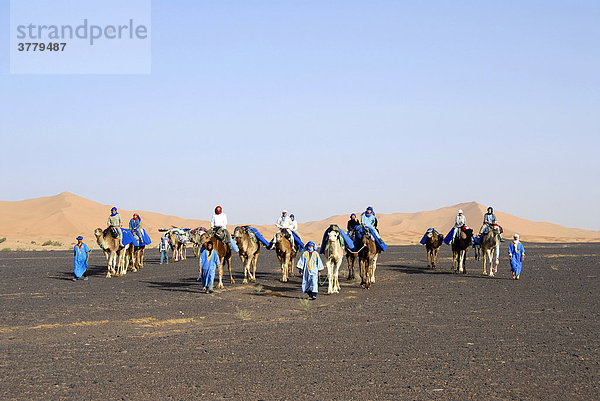 Gruppe von Touristen reitet auf Kamelen durch ebene Steinwüste Reg Serir im Hintergrund Erg Chebbi Merzouga Marokko