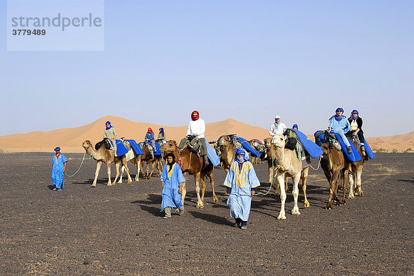 Gruppe von Touristen reitet auf Kamelen durch ebene Steinwüste Reg Serir im Hintergrund Erg Chebbi Merzouga Marokko