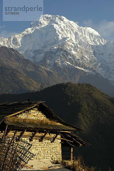 Bauernhaus vor schneebedecktem Massiv des Annapurna South Ghandruk Annapurna Region Nepal
