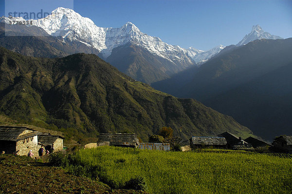 Dorf vor dem gewaltigen Bergmassiv des Annapurna South Ghandruk Annapurna Region Nepal