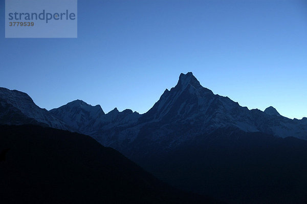 Berg Machhapuchhre im blauen Licht des frühen Morgens Annapurna Region Nepal