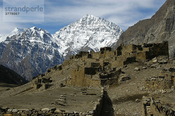 Steinerne Häuser des Bergdorfes Chyakhu vor Bergkulisse des Pisang Peak Nar-Phu Annapurna Region Nepal
