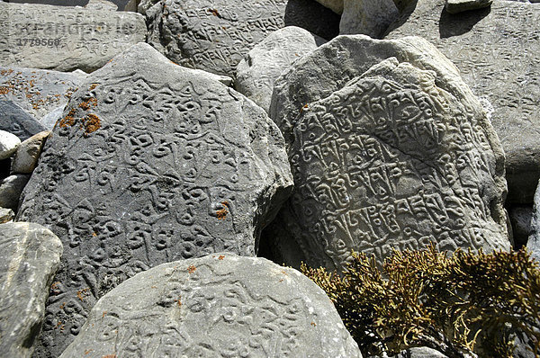 Alte tibetische Inschrift auf Felsen Kyang Nar-Phu Annapurna Region Nepal