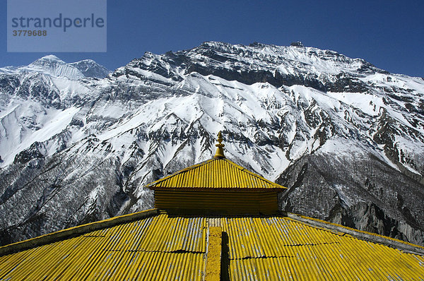 Gelbes Dach des Klosters Thare Gompa vor schneebedecktem Berghang bei Khangsar Annapurna Region Nepal