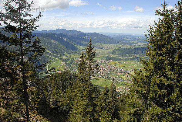 Blick vorbei an Bäumen Fichten picea abies vom Laberberg hinab auf Oberammergau Bayern  Deutschland