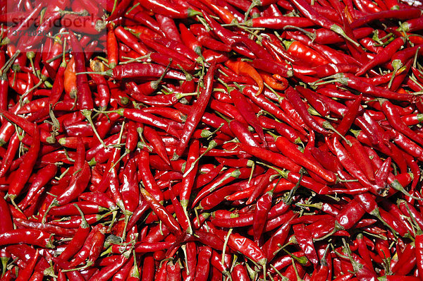 Rote Chilischoten auf dem Markt Boditti Äthiopien