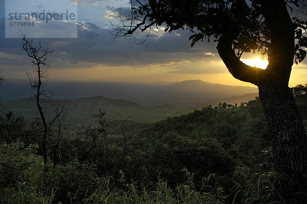 Baum vor Abendlicht auf den Bergen Mago National Park bei Jinka Äthiopien