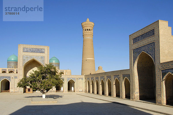 Innenhof mit Baum vor reich dekoriertem Iwan innerhalb der Moschee Kalon und Minarett Kalon Buchara Usbekistan