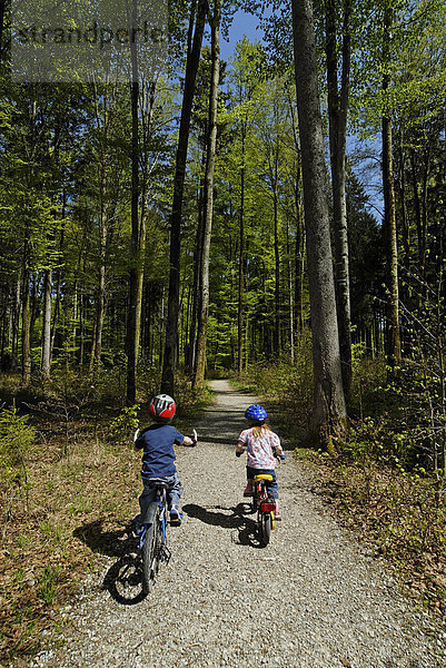 Grünwald bei München Oberbayern Deutschland Sauschütt mit Waldlehrpfad Kinder mit dem Fahrrad