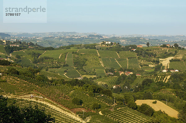 Bei Cisterna d¥ Asti im Roero Piemont Italien in den Weinbergen