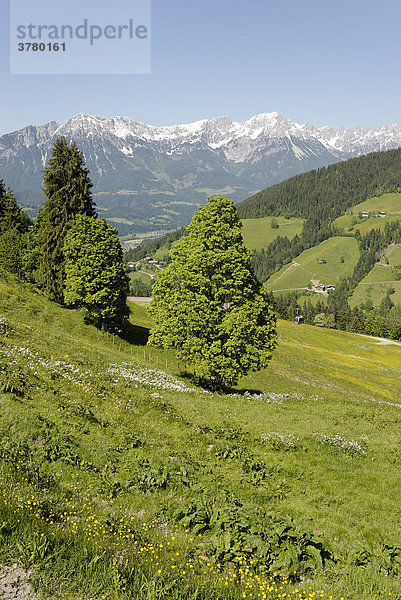 Von der Hohen Salve bei Söll auf die Tiroler Berge Österreich