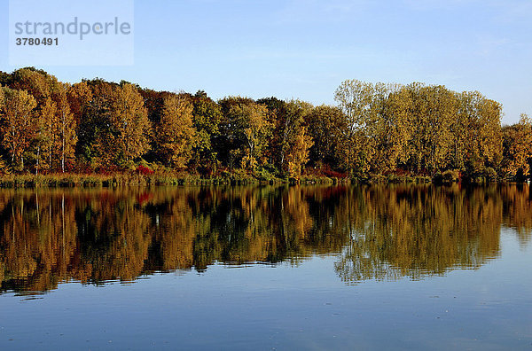 Baumreihe  See  Spiegelung  Wasser  Herbstfarben
