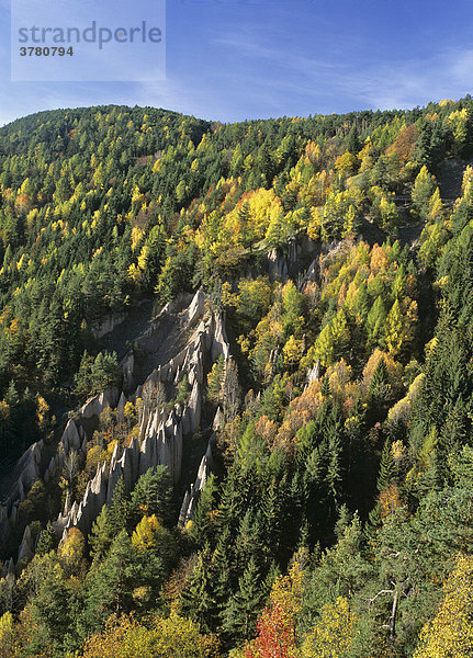 Herbstwald und Erdpyramiden bei Lengmoos  Ritten  Südtirol  Italien