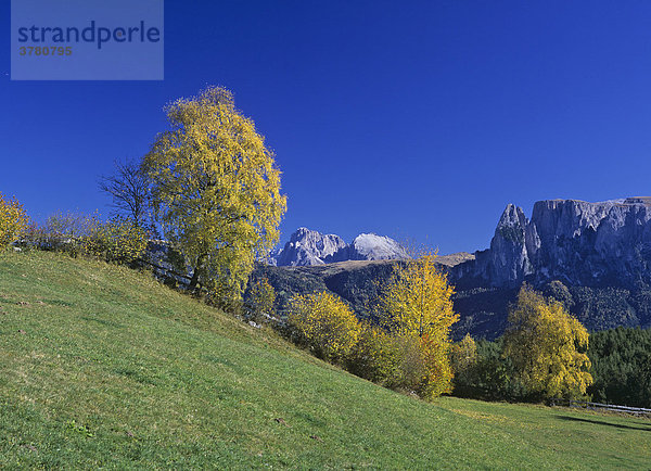 Herbststimmung im Hintergrund Langkofel Plattkofel und Sella  Ritten  Südtirol  Italien
