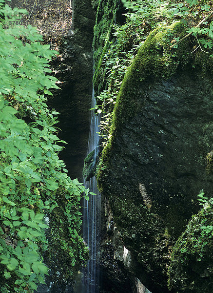 Wasserfall in der Mostnica Schlucht  Stara Fuzina  Triglav Nationalpark  Slowenien