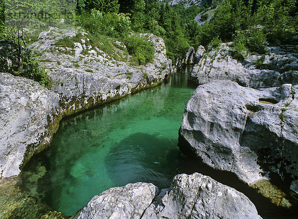 Der Fluß Soca  Camp Klin  Triglav Nationalpark  Slowenien
