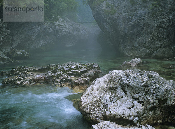Soca Fluß nach einem Gewitterregen  Koritnice  Triglav Nationalpark  Slowenien